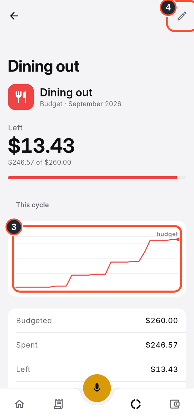 A category with its spending chart and the Edit button marked