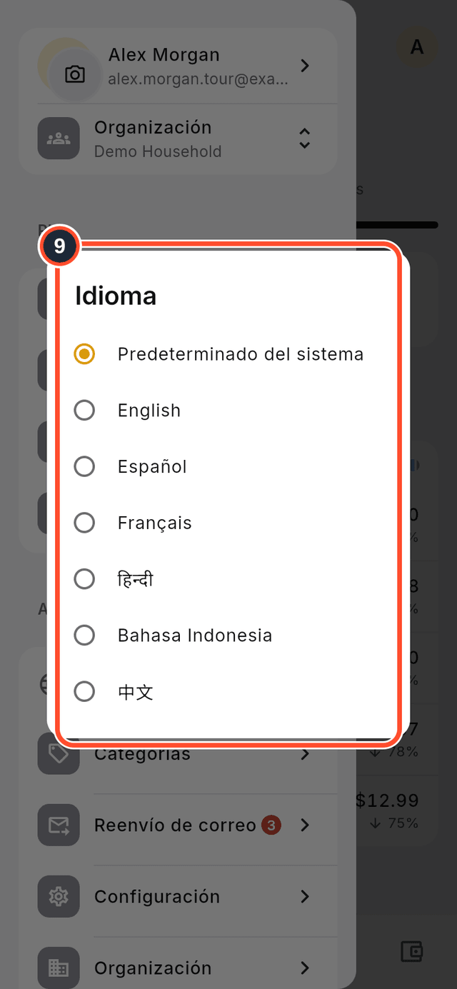 Las opciones de idioma marcadas