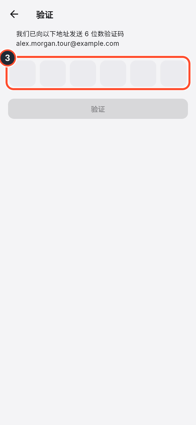 验证页面上已标出的六个验证码方框